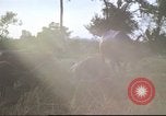 Image of water buffaloes Vietnam, 1966, second 50 stock footage video 65675062003