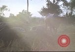 Image of water buffaloes Vietnam, 1966, second 56 stock footage video 65675062003