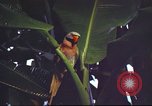 Image of United States airman Vietnam, 1965, second 13 stock footage video 65675062004