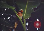 Image of United States airman Vietnam, 1965, second 14 stock footage video 65675062004