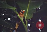 Image of United States airman Vietnam, 1965, second 18 stock footage video 65675062004