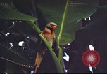 Image of United States airman Vietnam, 1965, second 19 stock footage video 65675062004