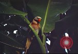Image of United States airman Vietnam, 1965, second 20 stock footage video 65675062004