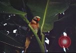 Image of United States airman Vietnam, 1965, second 21 stock footage video 65675062004