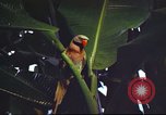 Image of United States airman Vietnam, 1965, second 27 stock footage video 65675062004