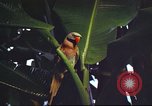 Image of United States airman Vietnam, 1965, second 30 stock footage video 65675062004