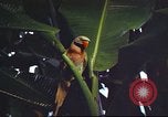Image of United States airman Vietnam, 1965, second 32 stock footage video 65675062004