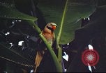Image of United States airman Vietnam, 1965, second 34 stock footage video 65675062004