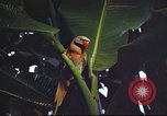 Image of United States airman Vietnam, 1965, second 35 stock footage video 65675062004