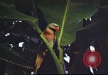 Image of United States airman Vietnam, 1965, second 37 stock footage video 65675062004
