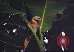 Image of United States airman Vietnam, 1965, second 40 stock footage video 65675062004
