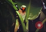 Image of United States airman Vietnam, 1965, second 58 stock footage video 65675062004