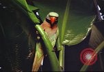Image of United States airman Vietnam, 1965, second 59 stock footage video 65675062004