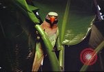 Image of United States airman Vietnam, 1965, second 61 stock footage video 65675062004