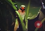 Image of United States airman Vietnam, 1965, second 62 stock footage video 65675062004