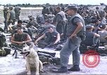 Image of scout dogs Vietnam, 1966, second 3 stock footage video 65675062005