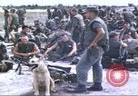 Image of scout dogs Vietnam, 1966, second 4 stock footage video 65675062005