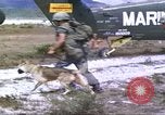 Image of scout dogs Vietnam, 1966, second 10 stock footage video 65675062005