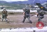 Image of scout dogs Vietnam, 1966, second 13 stock footage video 65675062005