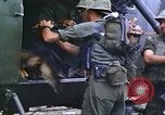 Image of scout dogs Vietnam, 1966, second 17 stock footage video 65675062005