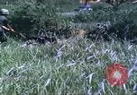 Image of scout dogs Vietnam, 1966, second 28 stock footage video 65675062005