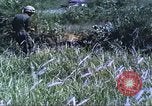 Image of scout dogs Vietnam, 1966, second 29 stock footage video 65675062005