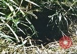 Image of scout dogs Vietnam, 1966, second 34 stock footage video 65675062005