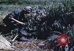 Image of scout dogs Vietnam, 1966, second 36 stock footage video 65675062005