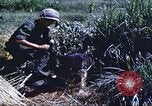 Image of scout dogs Vietnam, 1966, second 37 stock footage video 65675062005
