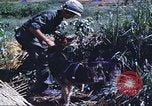 Image of scout dogs Vietnam, 1966, second 38 stock footage video 65675062005