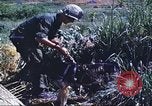 Image of scout dogs Vietnam, 1966, second 39 stock footage video 65675062005