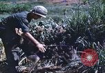 Image of scout dogs Vietnam, 1966, second 40 stock footage video 65675062005