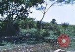 Image of scout dogs Vietnam, 1966, second 45 stock footage video 65675062005