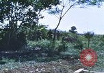 Image of scout dogs Vietnam, 1966, second 46 stock footage video 65675062005