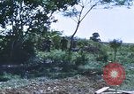 Image of scout dogs Vietnam, 1966, second 47 stock footage video 65675062005