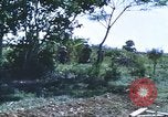 Image of scout dogs Vietnam, 1966, second 48 stock footage video 65675062005