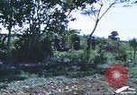 Image of scout dogs Vietnam, 1966, second 49 stock footage video 65675062005