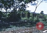Image of scout dogs Vietnam, 1966, second 50 stock footage video 65675062005