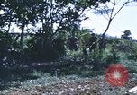 Image of scout dogs Vietnam, 1966, second 53 stock footage video 65675062005
