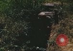Image of scout dogs Vietnam, 1966, second 59 stock footage video 65675062005