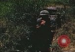 Image of scout dogs Vietnam, 1966, second 60 stock footage video 65675062005