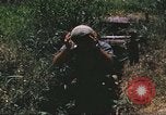 Image of scout dogs Vietnam, 1966, second 61 stock footage video 65675062005
