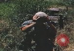 Image of scout dogs Vietnam, 1966, second 62 stock footage video 65675062005