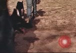 Image of sentry dogs South Vietnam, 1967, second 10 stock footage video 65675062006