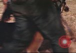 Image of sentry dogs South Vietnam, 1967, second 12 stock footage video 65675062006