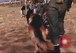 Image of sentry dogs South Vietnam, 1967, second 13 stock footage video 65675062006