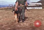 Image of sentry dogs South Vietnam, 1967, second 15 stock footage video 65675062006