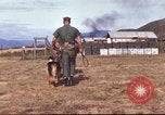 Image of sentry dogs South Vietnam, 1967, second 17 stock footage video 65675062006