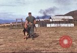 Image of sentry dogs South Vietnam, 1967, second 18 stock footage video 65675062006