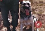 Image of sentry dogs South Vietnam, 1967, second 25 stock footage video 65675062006